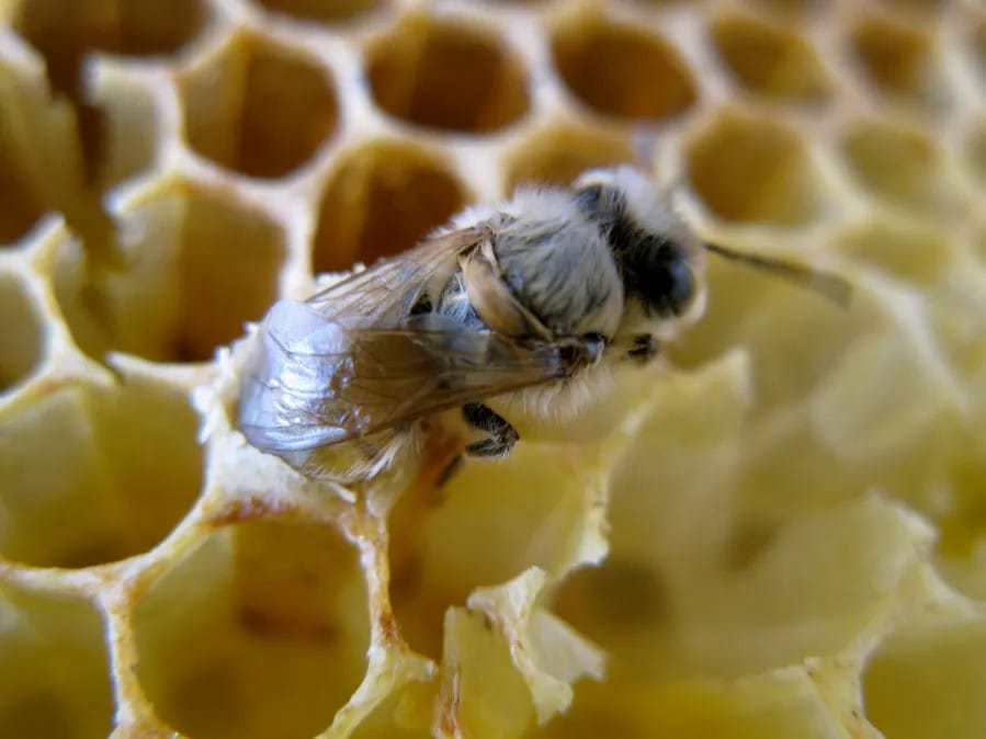 upload in progress, 0