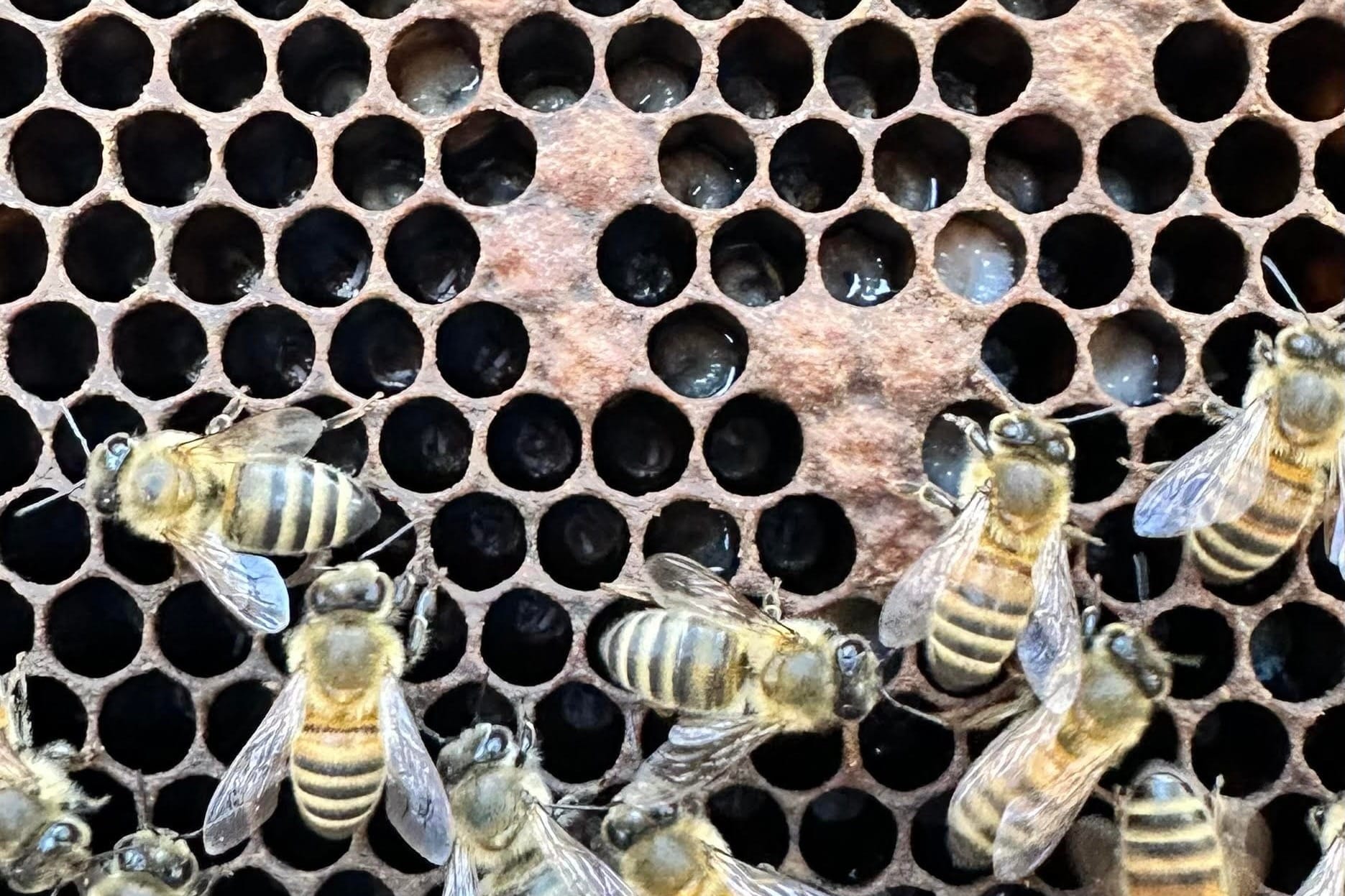 upload in progress, 0