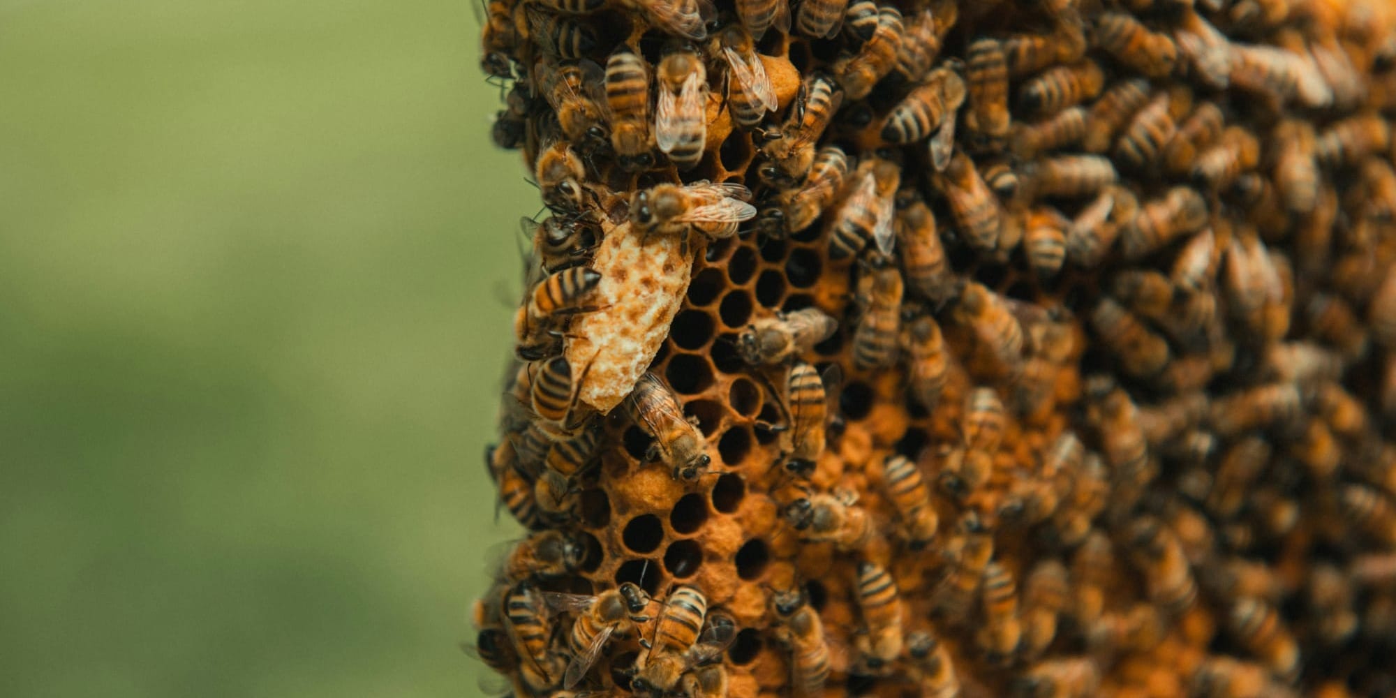 upload in progress, 0